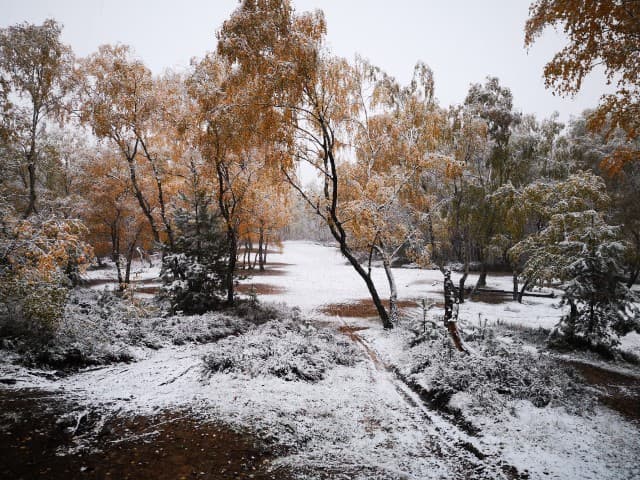 Image d'illustration pour Retour en force de la neige en France