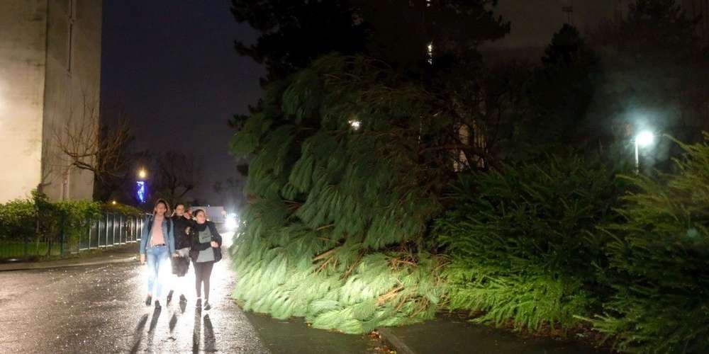 Image d'illustration pour Bilan de la tempête du 13 Décembre et coup de vent la nuit prochaine