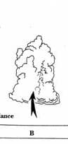 Image d'illustration pour Phénomènes orageux - le cumulonimbus
