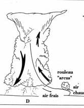 Image d'illustration pour Phénomènes orageux - le cumulonimbus