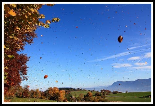 C' est bel et bien l' automne!!