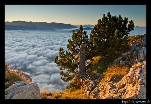Le Moucherotte domine la mer de nuages