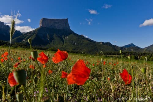 Mont Aiguille