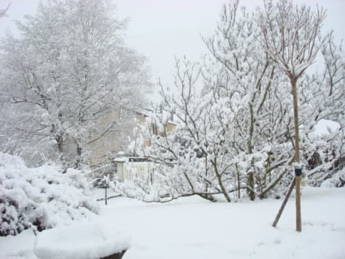 10cm de neige à 330 m d'altitude