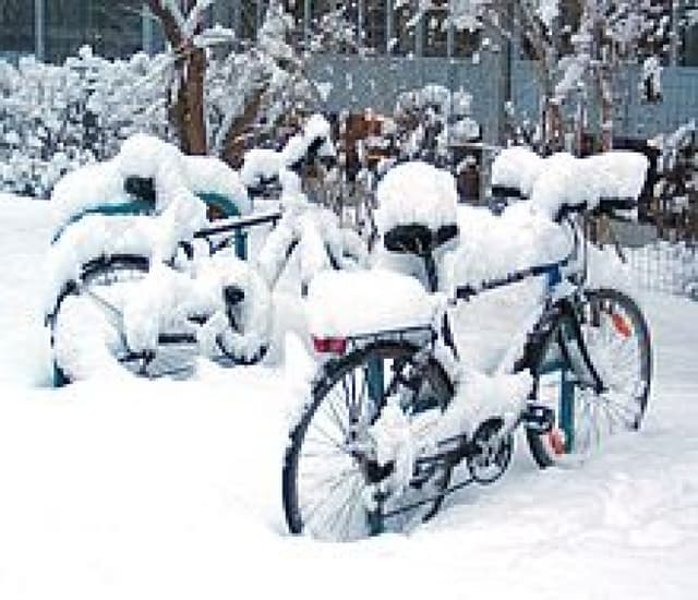25 cm de neige A 8:00