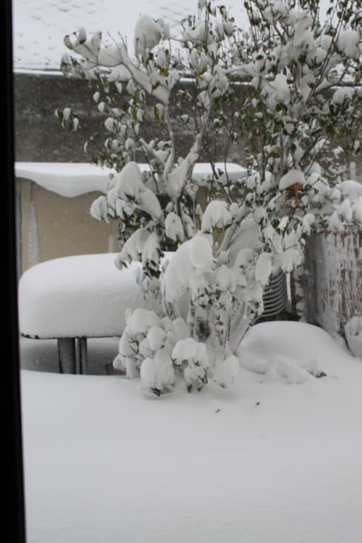 8h30 ce matin