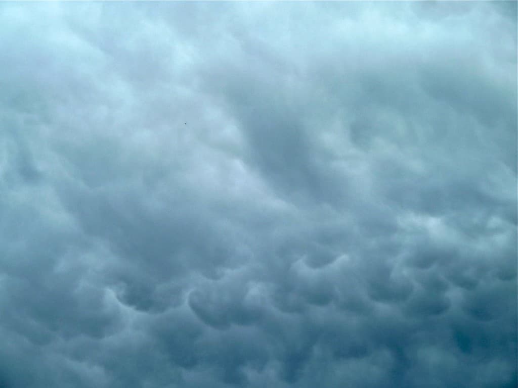  Amorce de mammatus (M. ALTER)