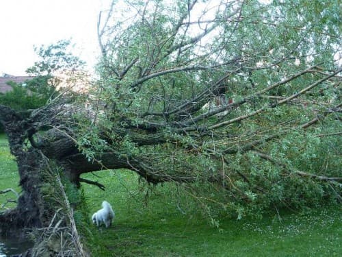 après la tempête