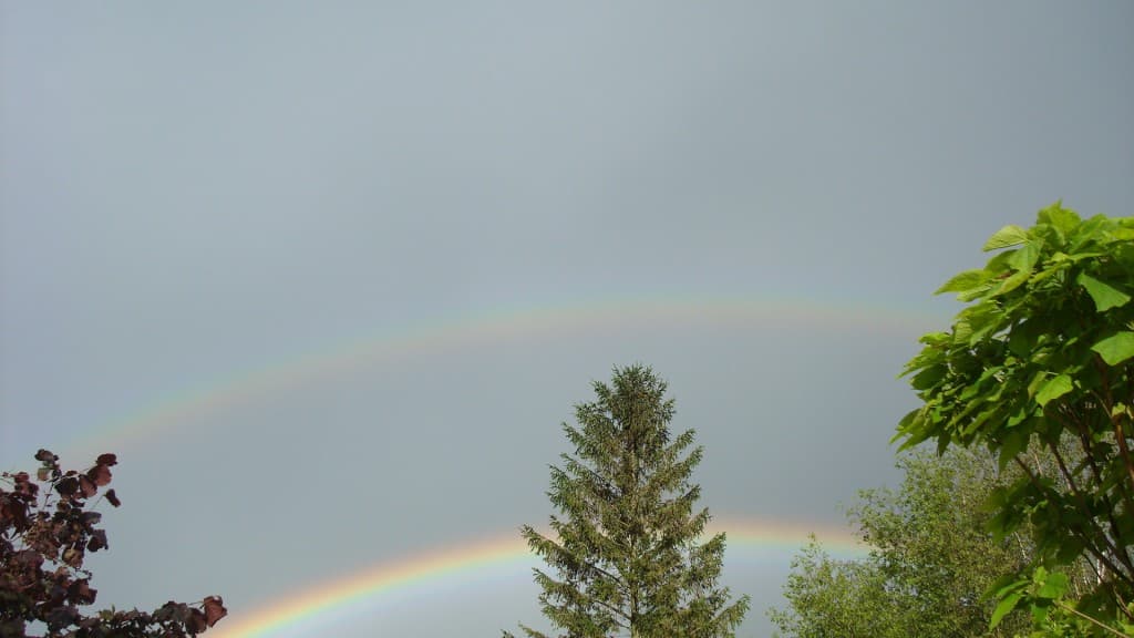 Arcs en ciel après l'orage