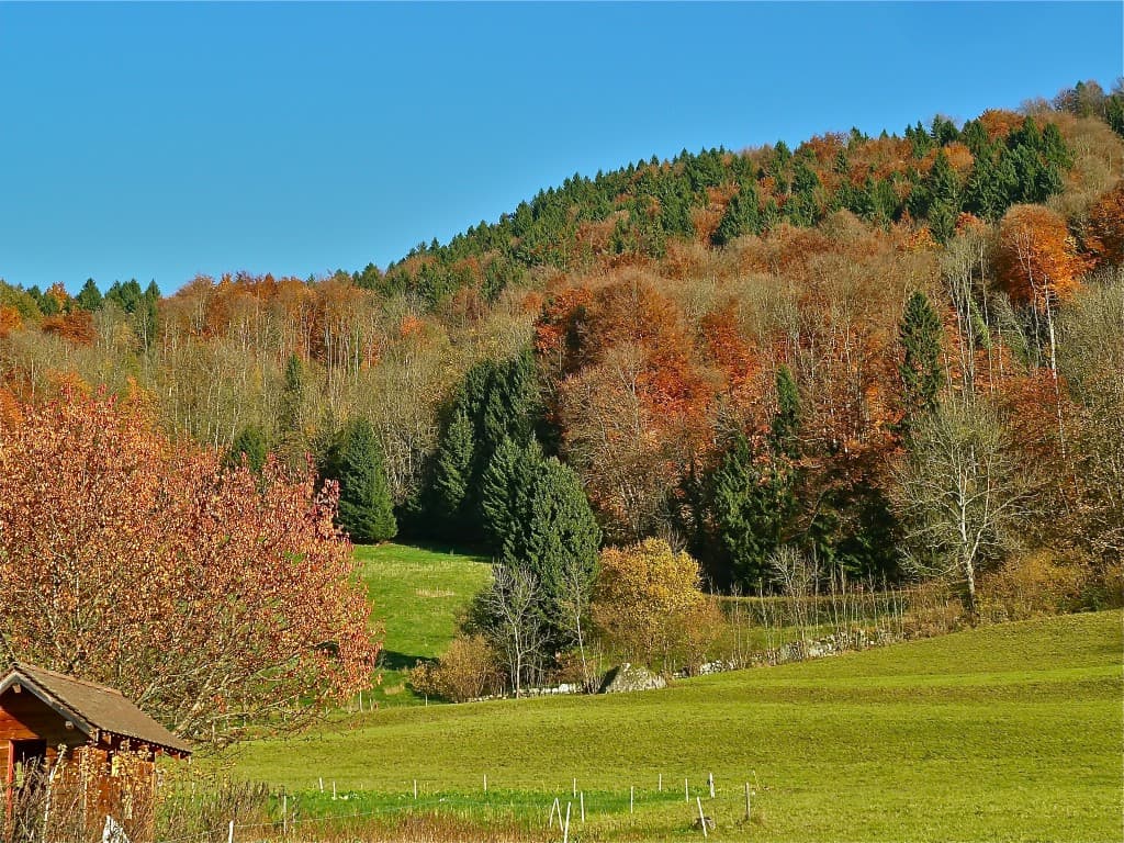 Automne dans Belledonne (M. Alter)