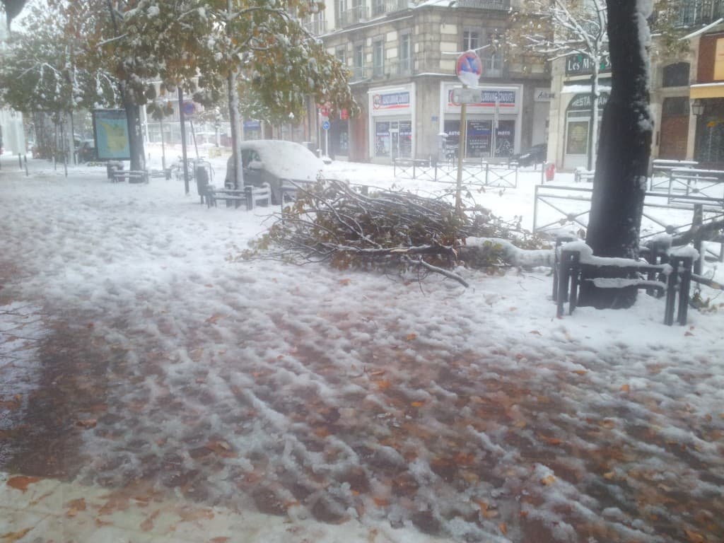 Avenue Alsace-Lorraine
