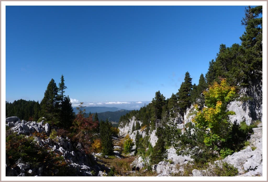 bel automne dans les erges