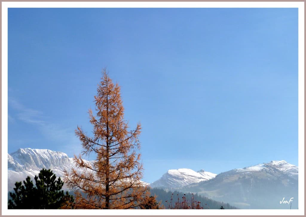 bel automne