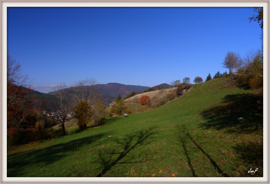 belle matinée d'automne