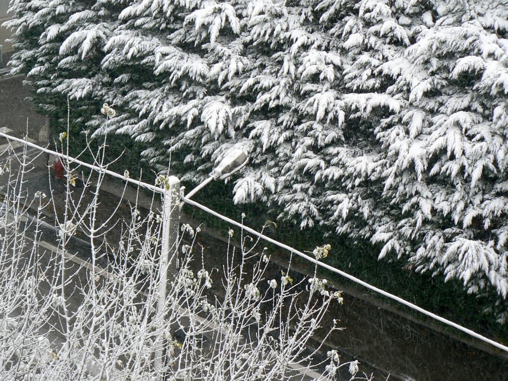 Bon, bien voilà il neige à Genoble