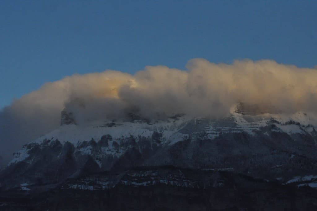 Chartreuse matinale...