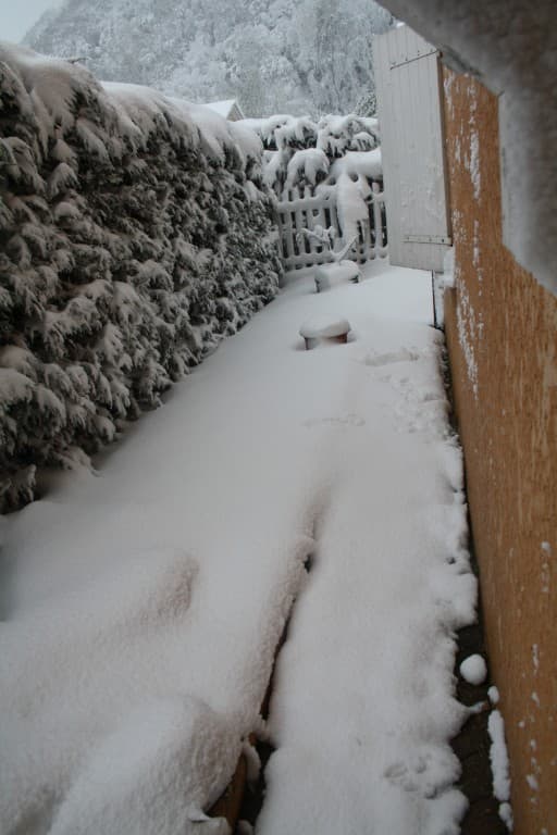 Chute de neige 