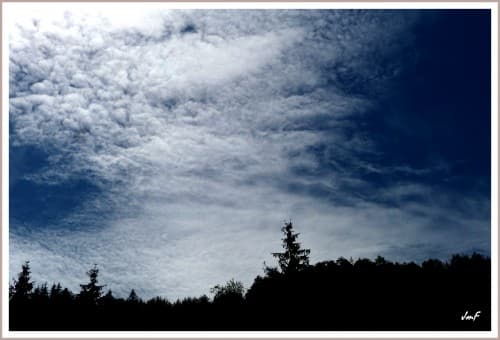 Cirrocumulus 