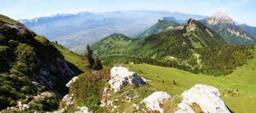 Dent de crolle.
