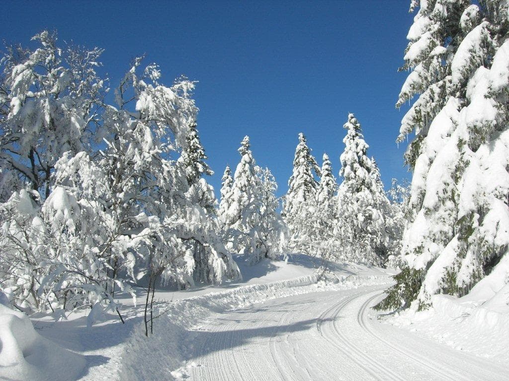 en direction du Moucherotte (Jack)