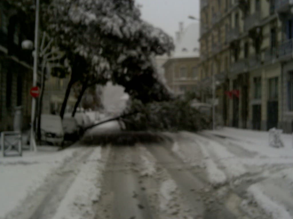 Grenoble Avenue Felix Viallet