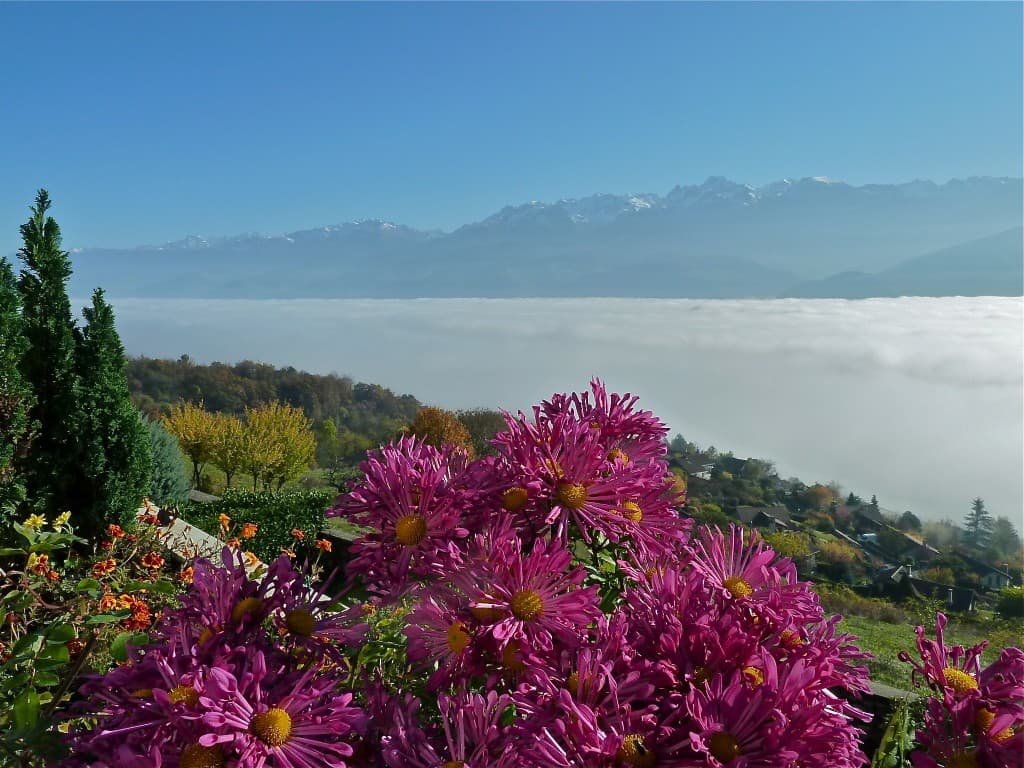 Inversion thermique (M. Alter)