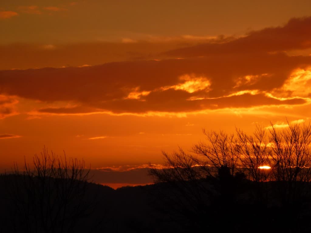 L'or du soir. Gerbaix dessus .