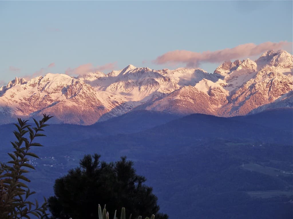 La neige est arrivée ! (M. ALTER)