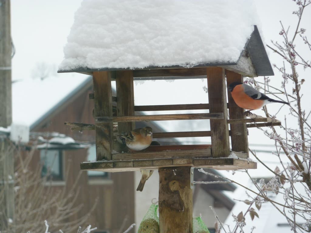 LE RESTO EST OUVERT !