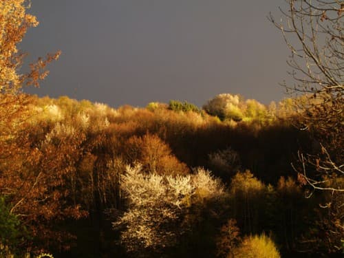le soleil la tête dans les nuages