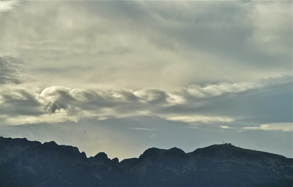 Lenticulaires festonné (M. ALTER)