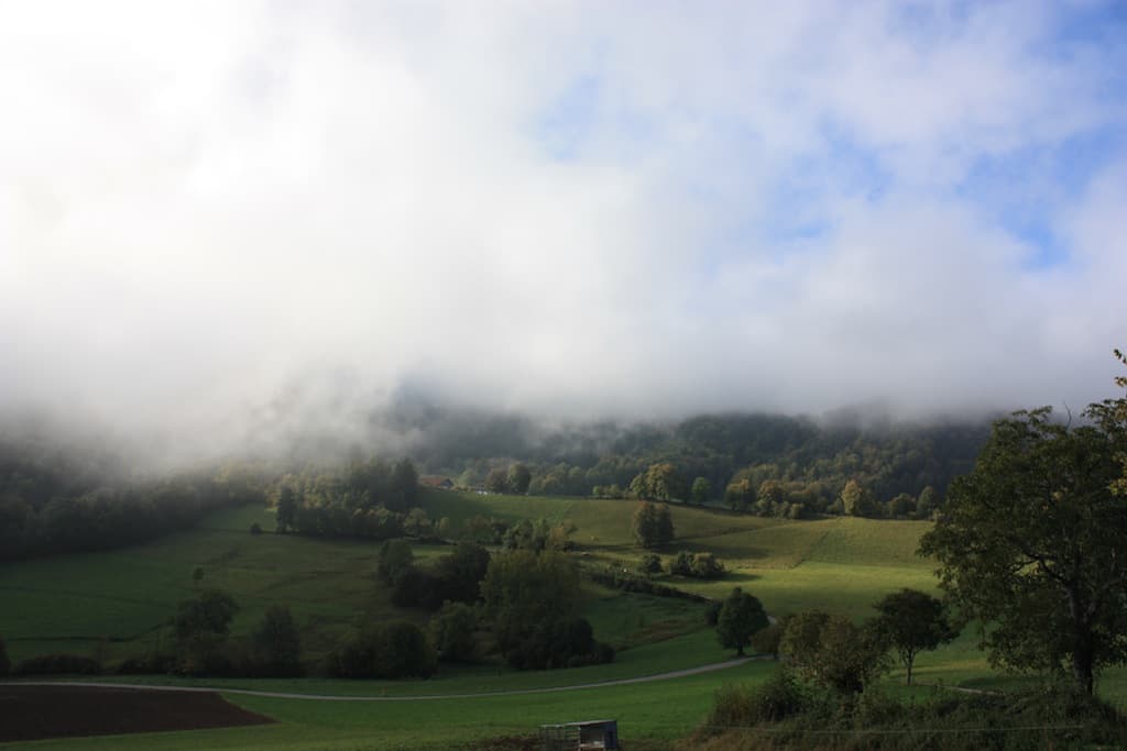 Lever de brume automnale