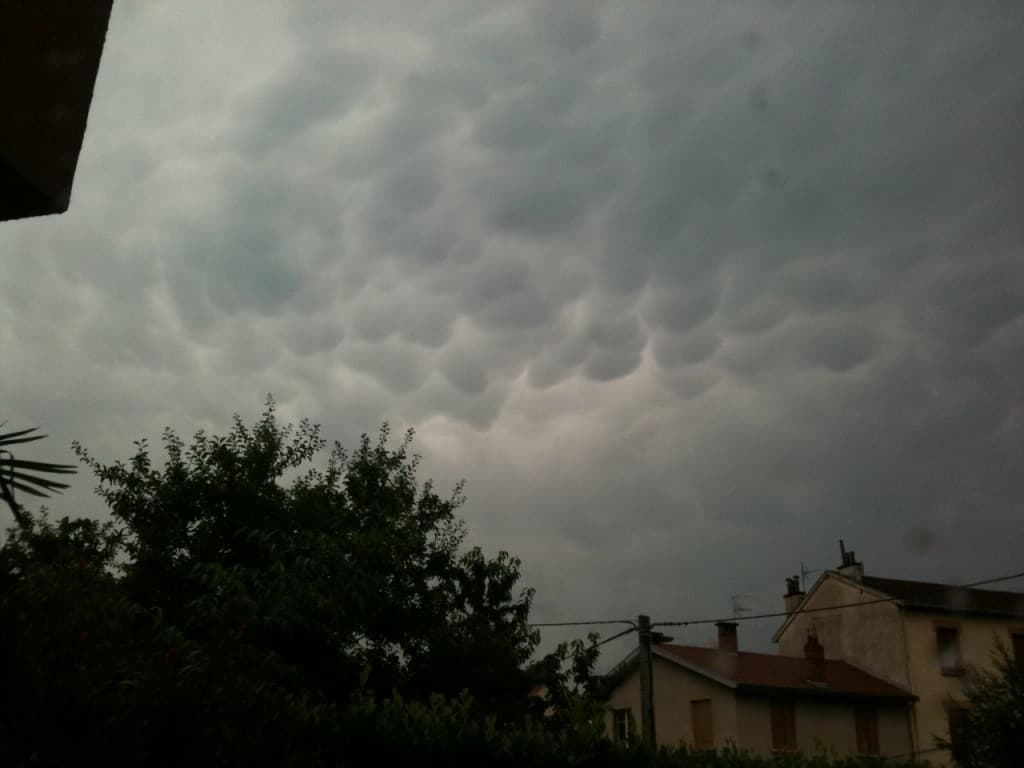 mamatus après averse 8h45
