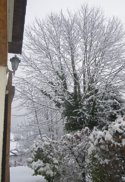 Neige à Quaix-en-Chartreuse