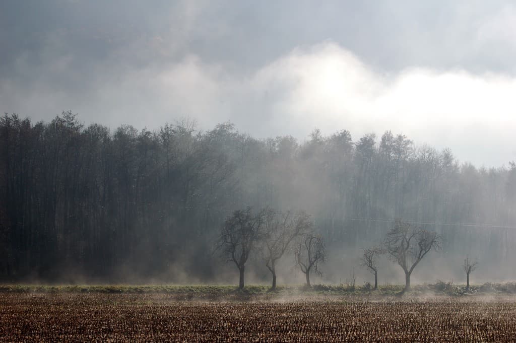 pluie de brume matinale