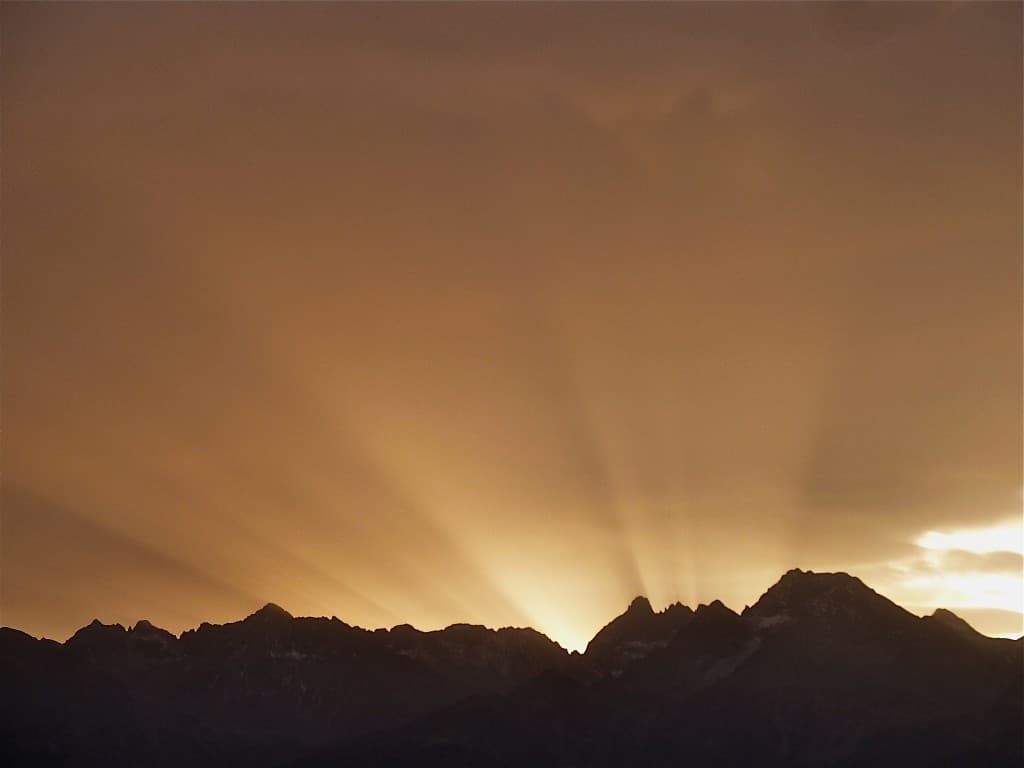 Premiers rayons (M. ALTER)