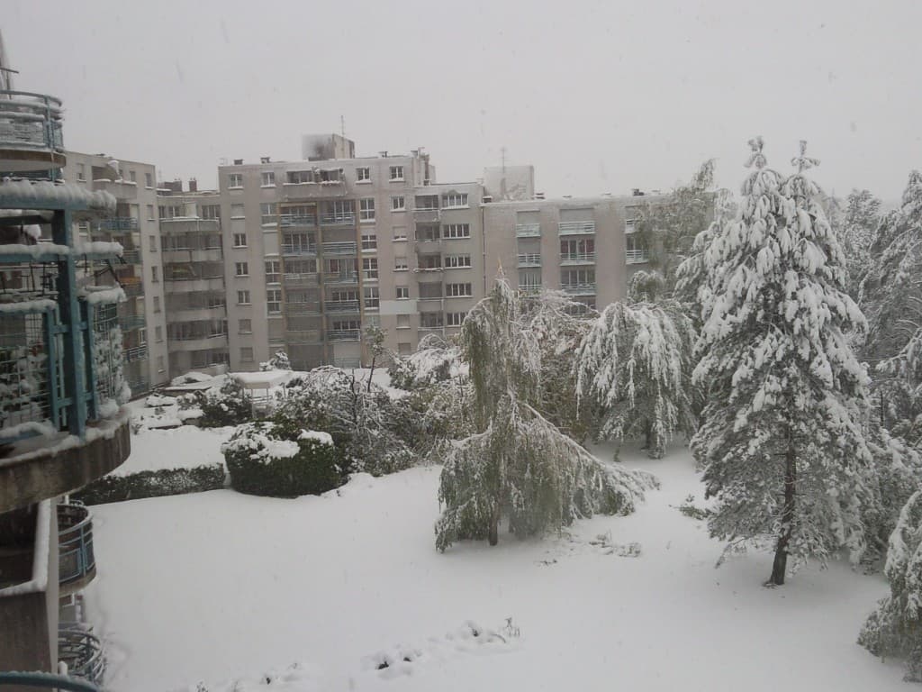 Quelques branches cassées