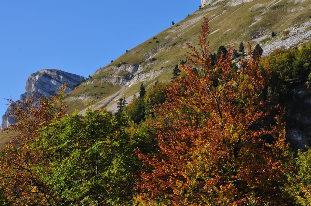 Splendeur d'Automne dans le Vercors