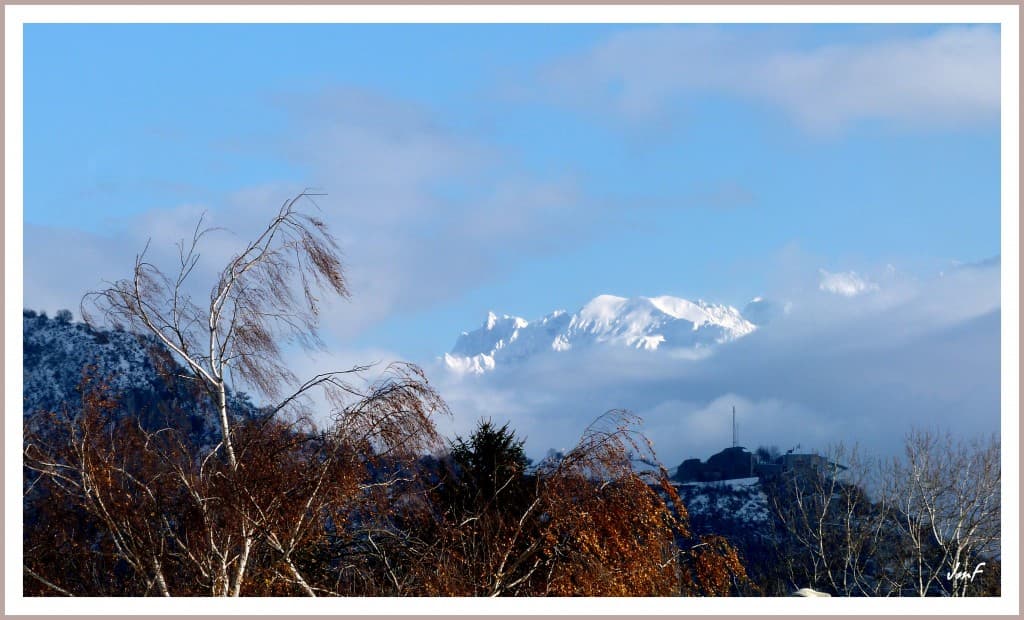 vent du nord glacial