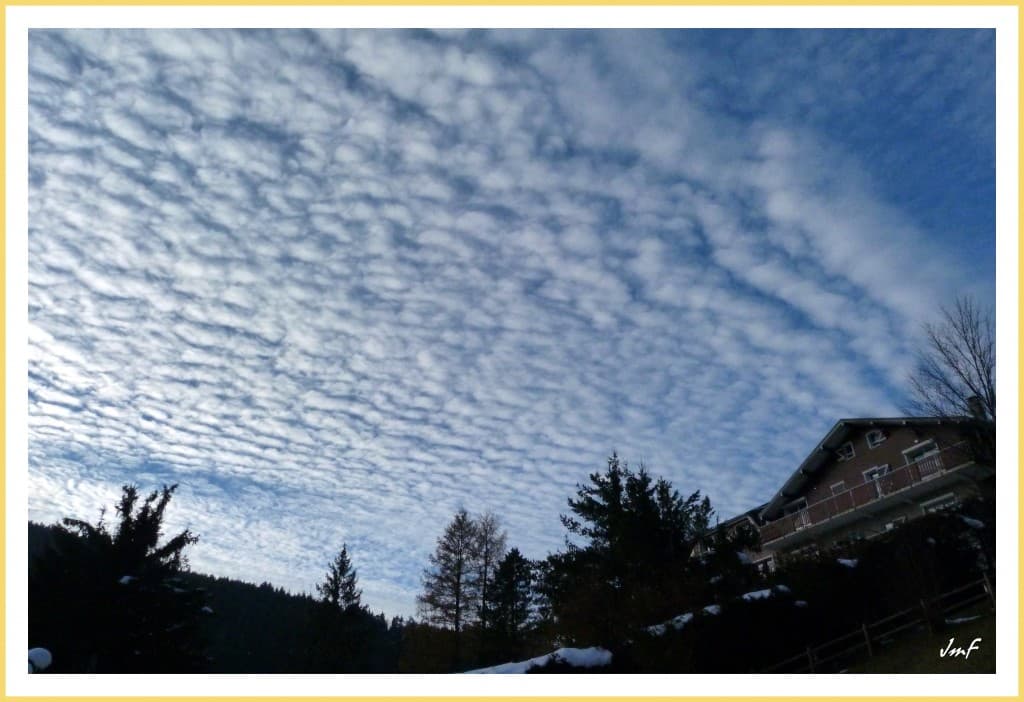 altocumulus