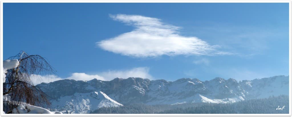 altostratus