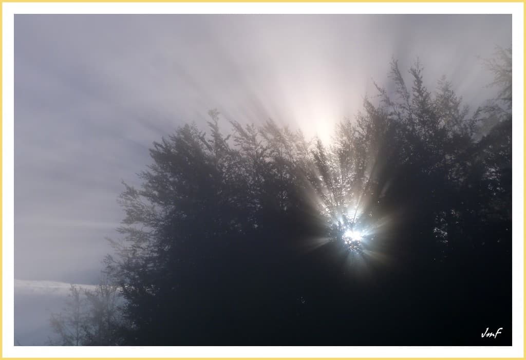 ambiance d'automne
