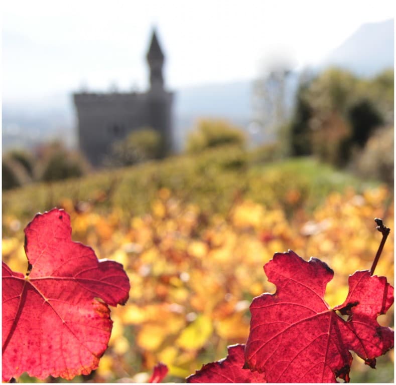 Au loin le château d'un prince..(EL)