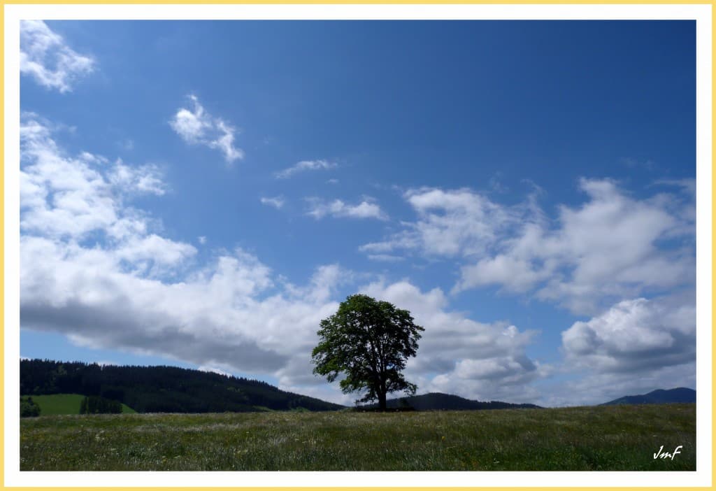 beau avec cumulus