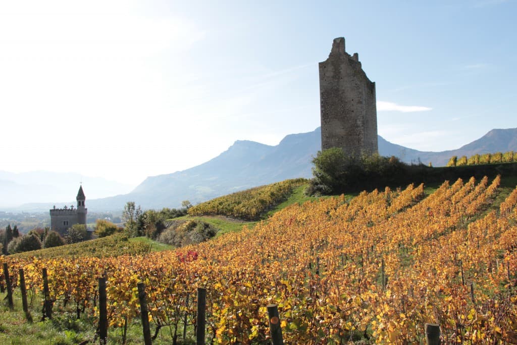 Bel endroit (EL)