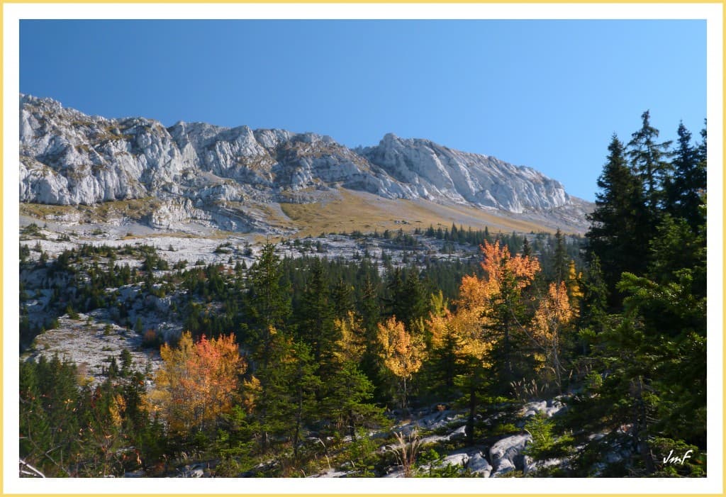 belle journée d'automne