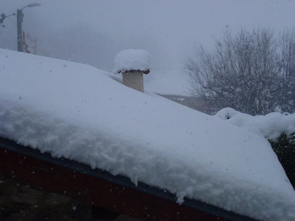 blancs en neige