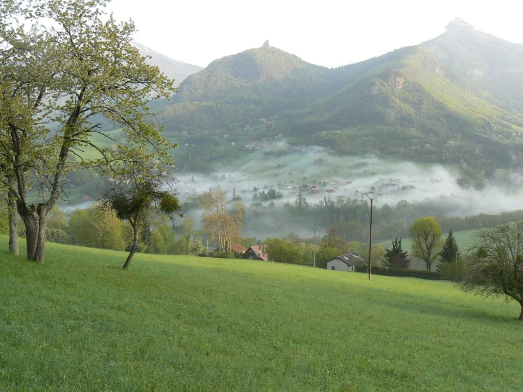 brume sur le village