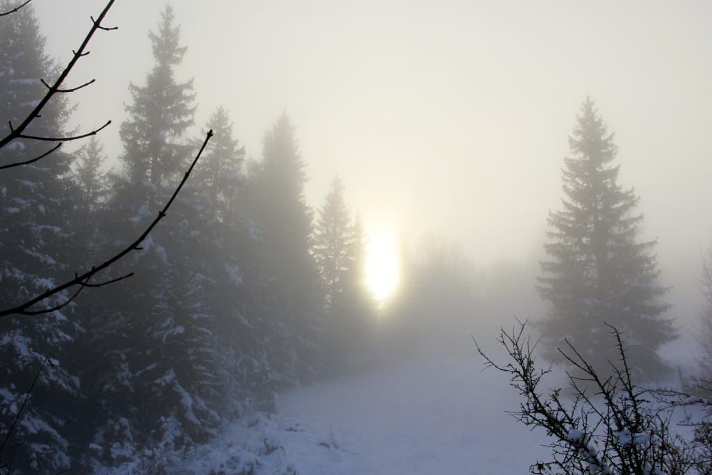 brume