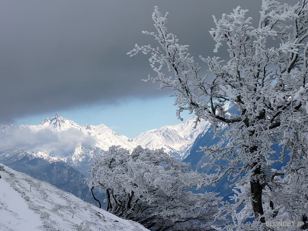 C'est l'hiver au Conest